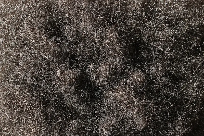 Macro close-up of dense afro-textured hair, tightly coiled dark brown strands with silvery highlights forming a soft, springy mass