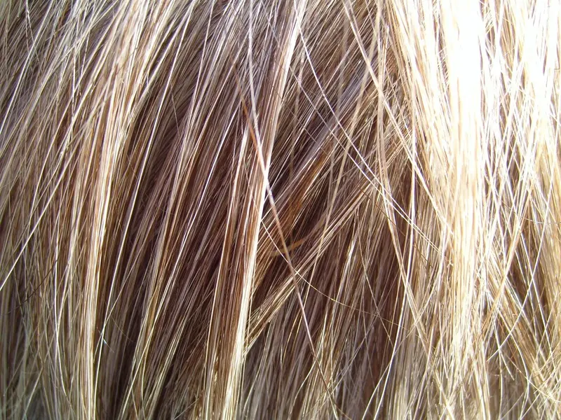 Close-up of straight, fine hair in mixed shades of light brown and honey blonde, the strands lying mostly parallel and catching the light